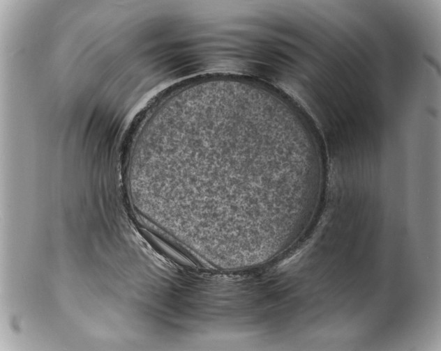 X0000098160923200805151225