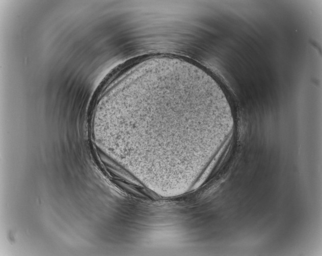 X0000098160924200805151225