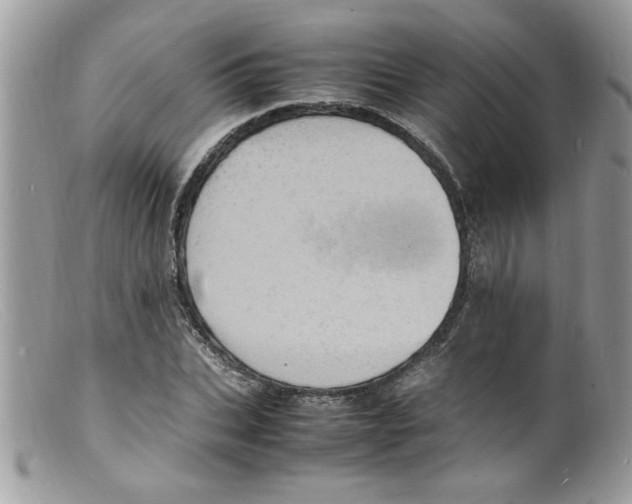 X0000098160927200805151225