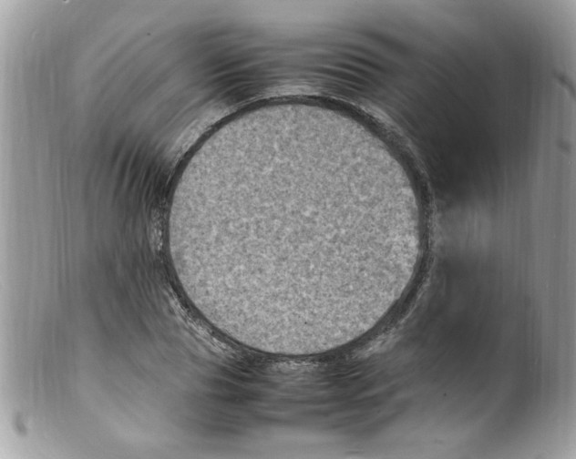 X0000098160929200805151225