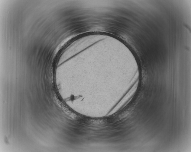 X0000098160931200805151225