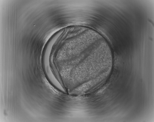 X0000098160932200805151225