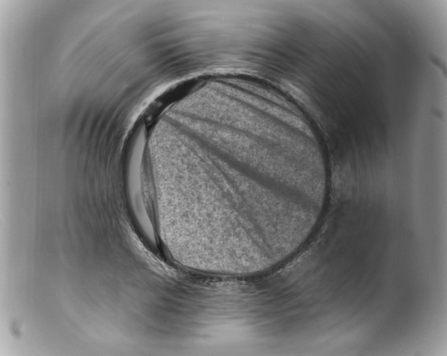 X0000098160934200805151225