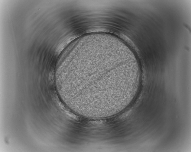 X0000098160937200805151225