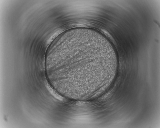 X0000098160938200805151225