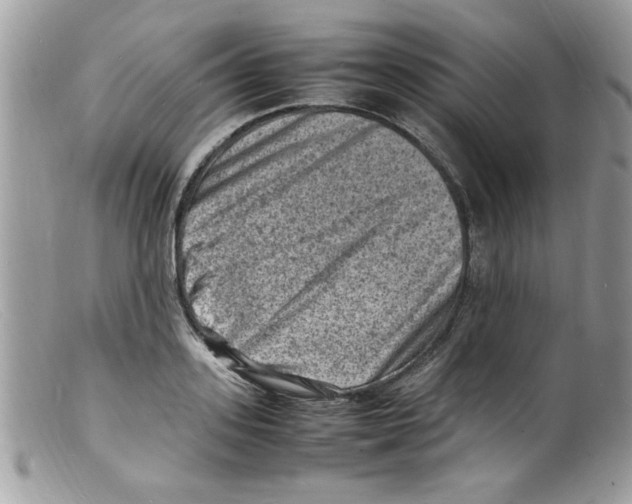 X0000098160939200805151225