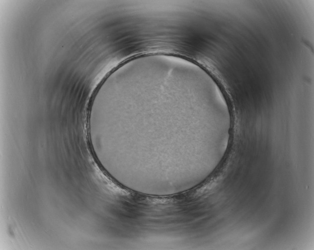 X0000098160941200805151226