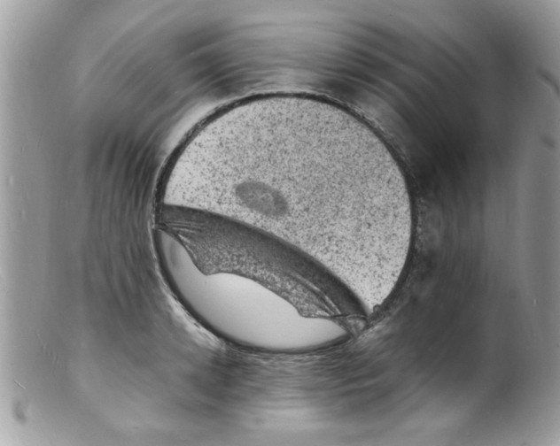 X0000098160942200805151226