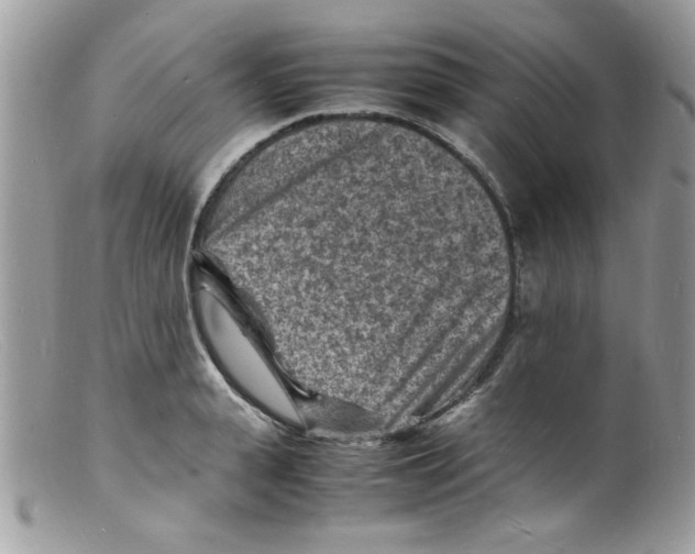 X0000098160943200805151226