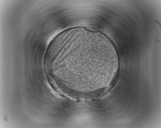 X0000098160944200805151226