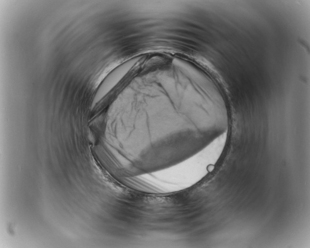 X0000098160945200805151226