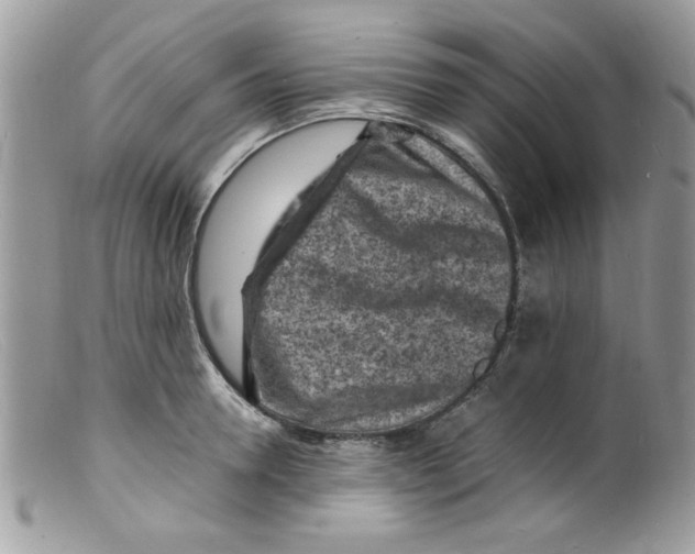 X0000098160946200805151226