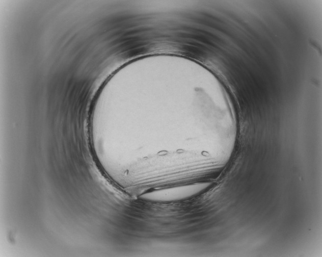 X0000098160947200805151226