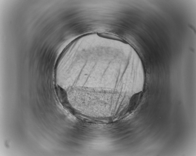 X0000098160948200805151226