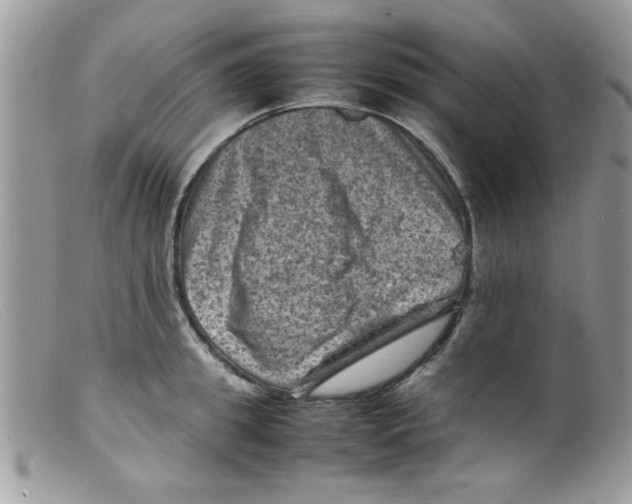 X0000098160949200805151226