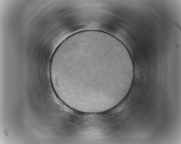 X0000098160950200805151226