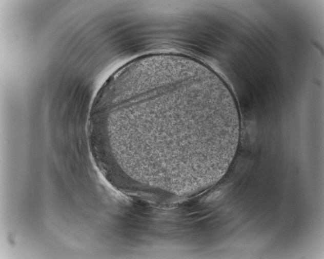 X0000098160951200805151226