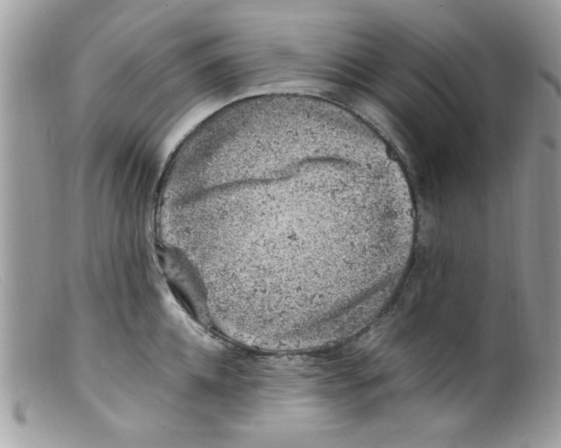 X0000098160952200805151226