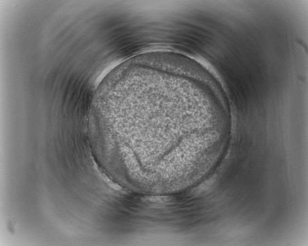 X0000098160953200805151226