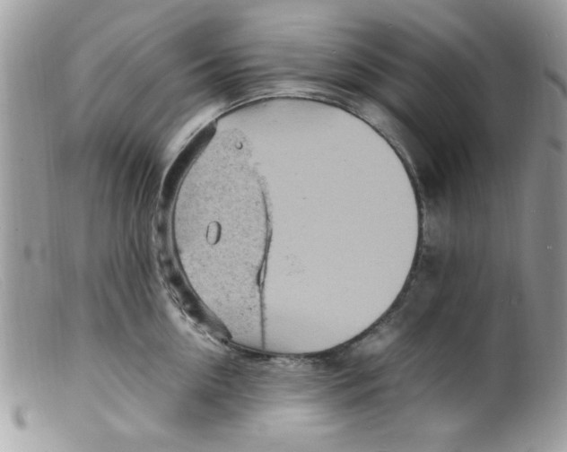 X0000098160954200805151226