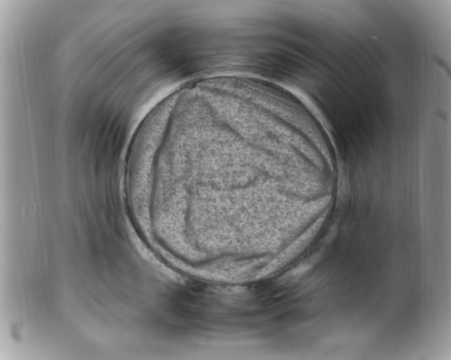 X0000098160957200805151226