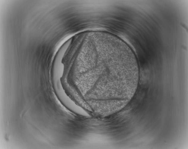 X0000098160959200805151226