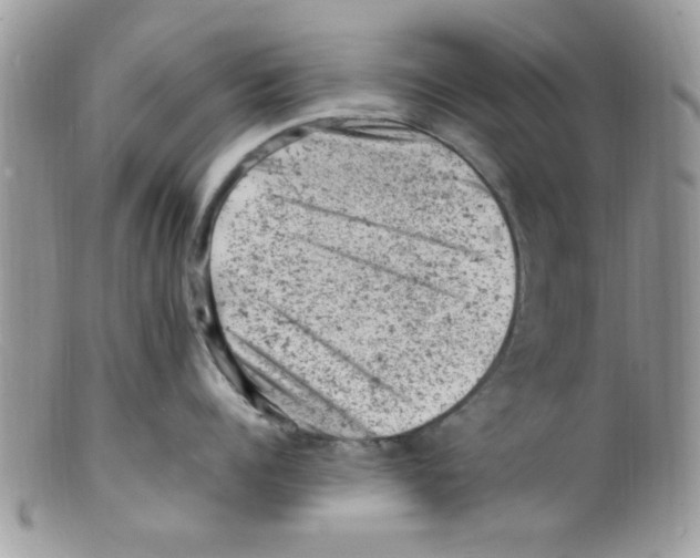 X0000098160960200805151226