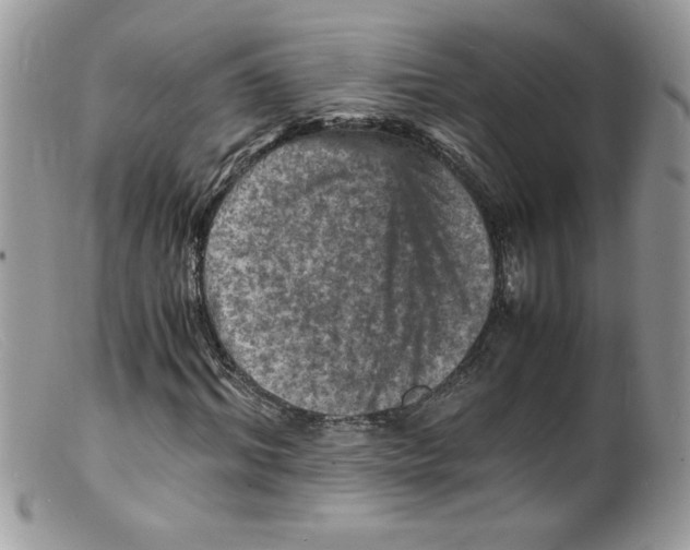 X0000098160964200805151225