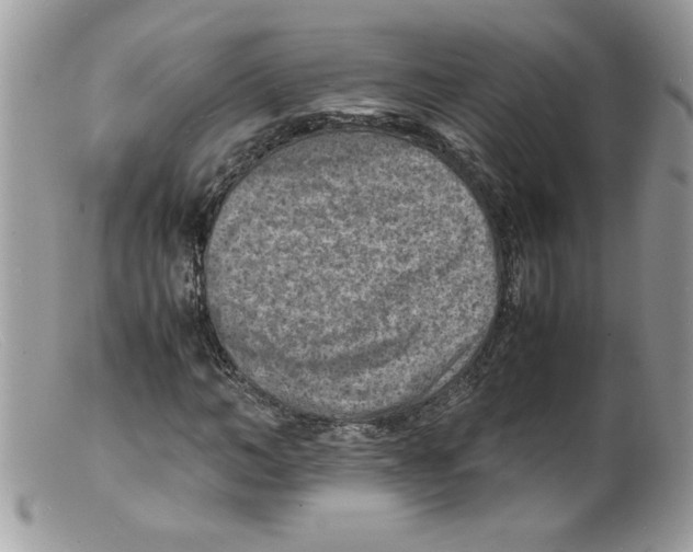 X0000098160966200805151225