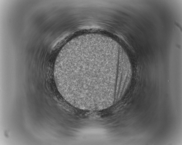 X0000098160967200805151225
