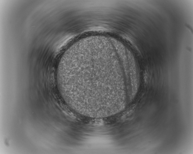 X0000098160968200805151225