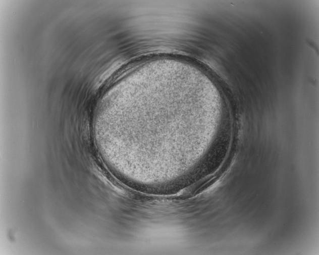 X0000098160969200805151225