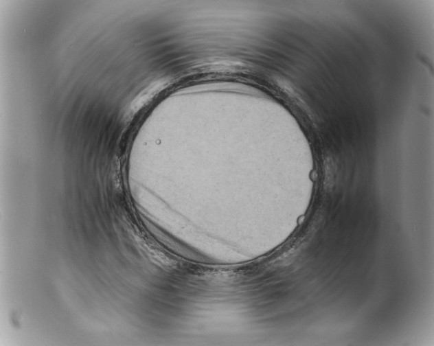 X0000098160970200805151225