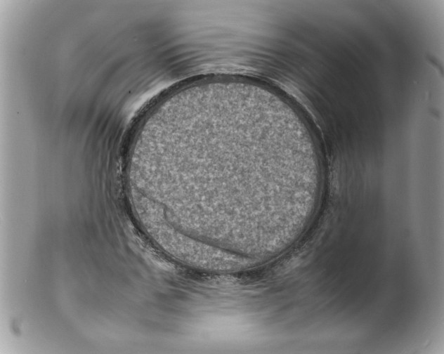 X0000098160971200805151225