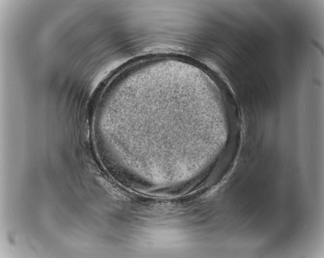 X0000098160973200805151225