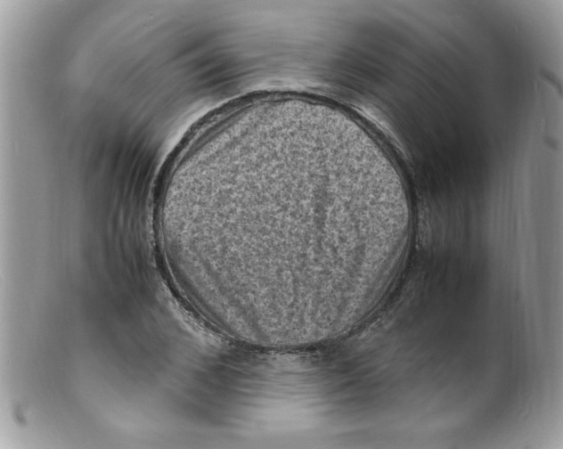X0000098160976200805151225