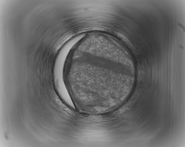 X0000098160977200805151225