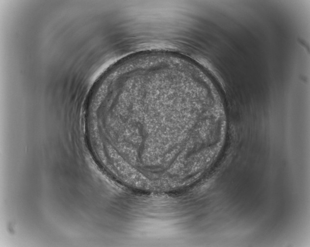 X0000098160983200805151225