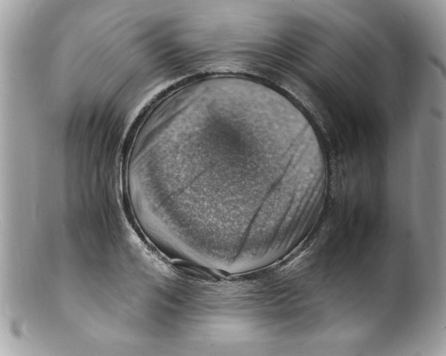 X0000098160984200805151225