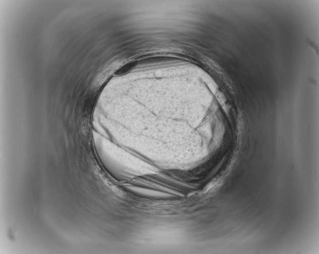 X0000098160985200805151225