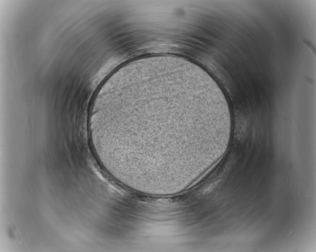 X0000098160986200805151225