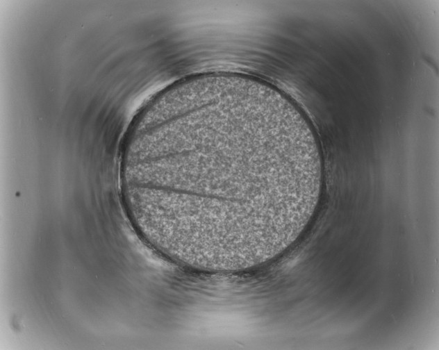 X0000098160987200805151225