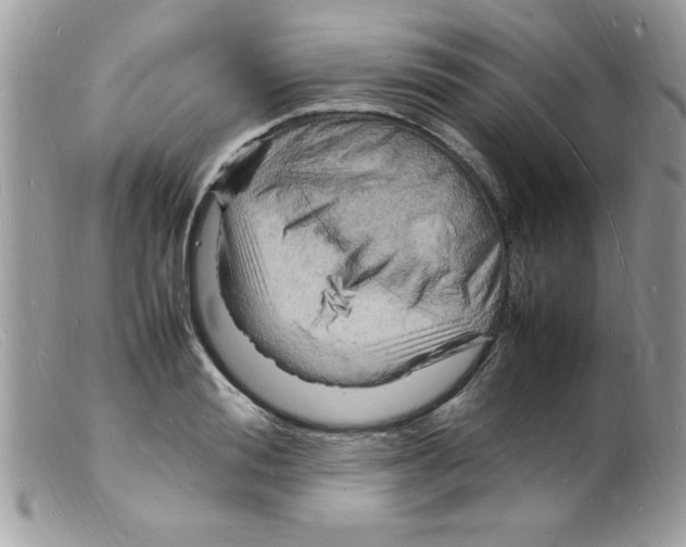 X0000098160988200805151225