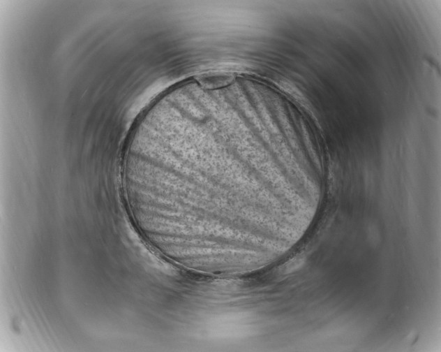 X0000098160989200805151225