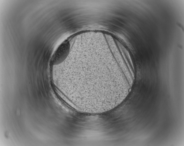 X0000098160990200805151225