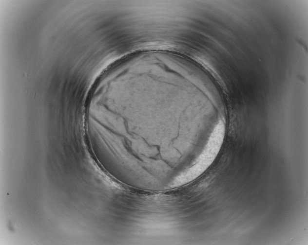 X0000098160992200805151225
