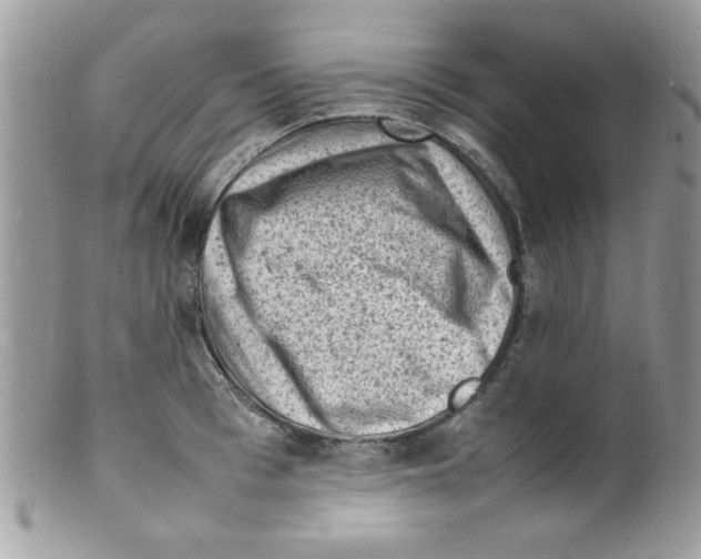 X0000098160993200805151225