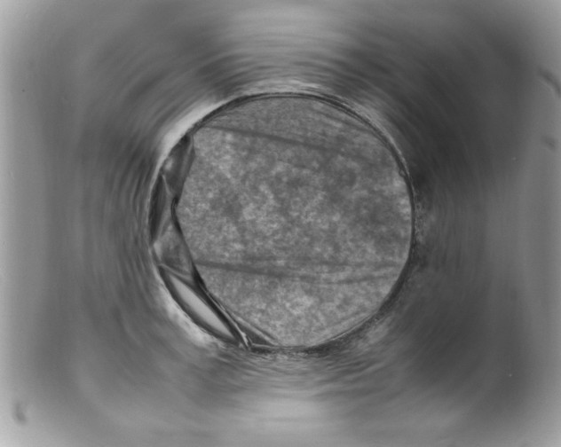 X0000098160995200805151225