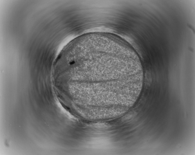 X0000098160998200805151225