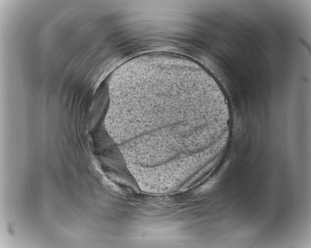 X0000098161001200805151225